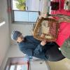 A heritage furniture restoration display.